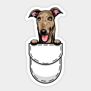 Funny Greyhound Pocket Dog Sticker